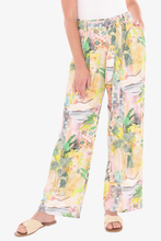 Load image into Gallery viewer, Jump - Tiger Island Pant Multi colored front shot
